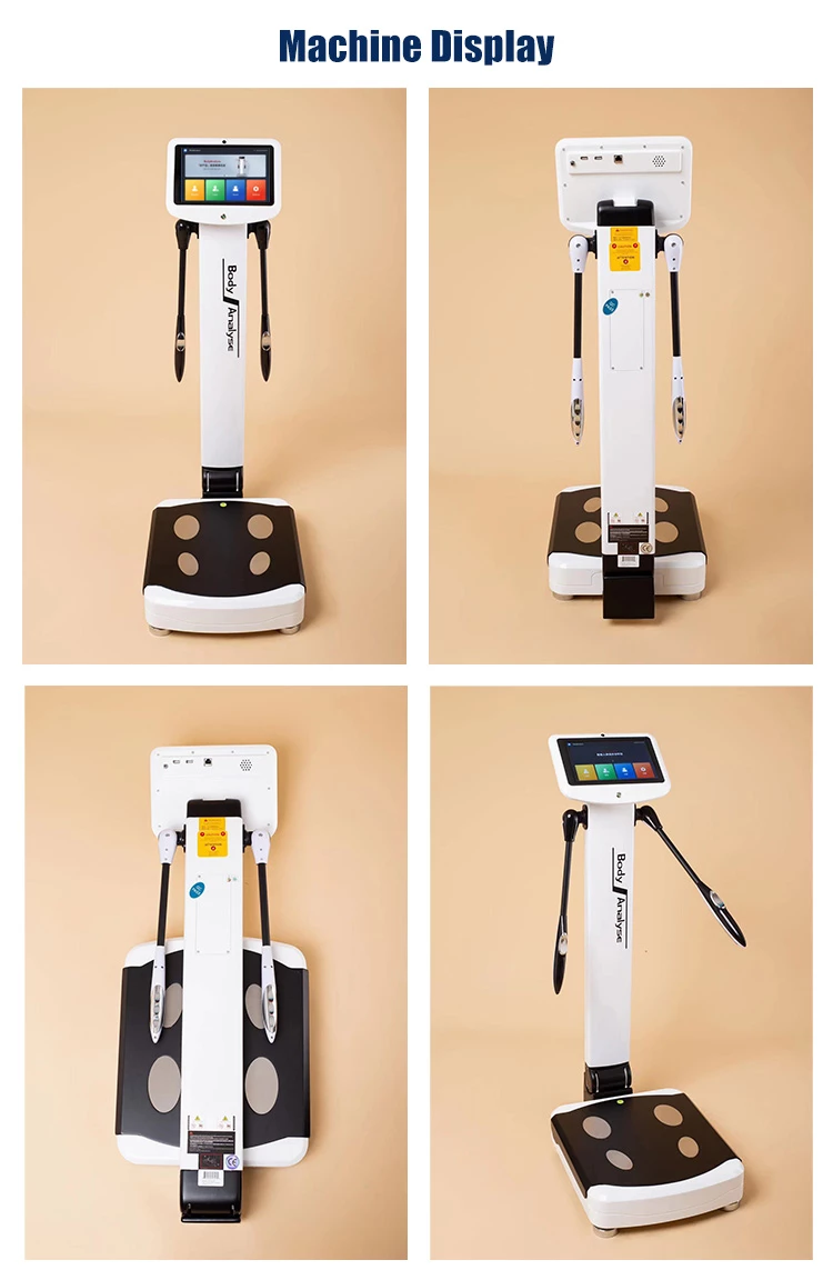 Intelligent Body Composition Analyzer GS10 | Sunwinbeauty
